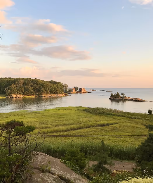 Coastal marshland at dusk