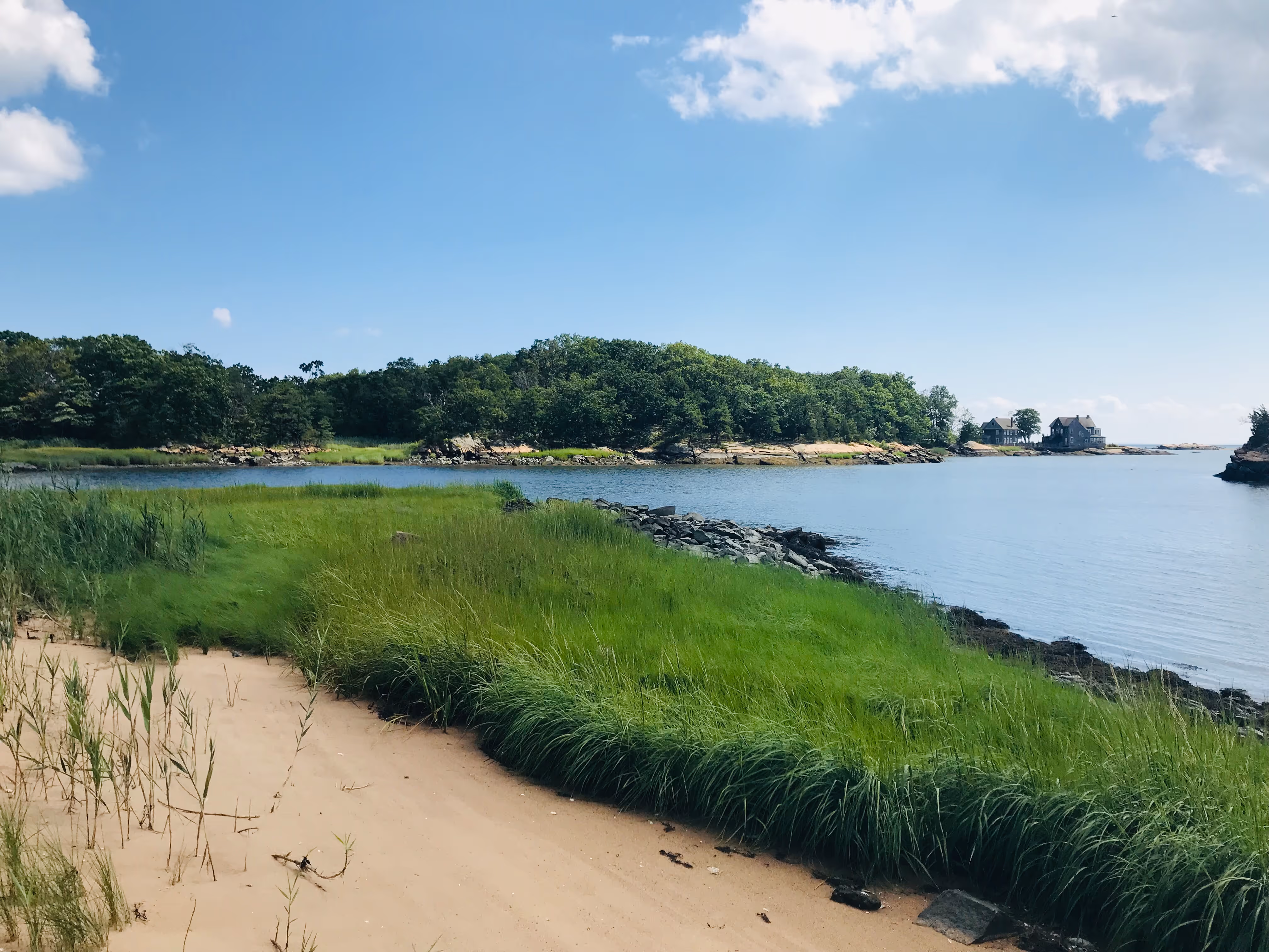 Sandy beach area with green grass by calm water and trees in the background.